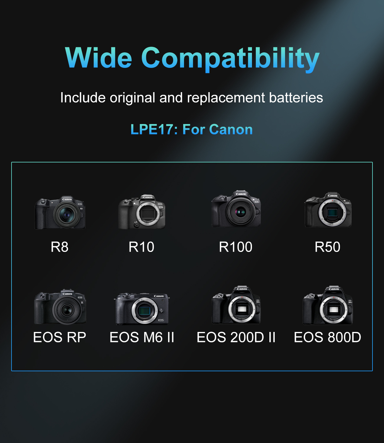 LP-E17용 20W USB-C PD 듀얼 슬롯 충전기 - Canon Camera Eos R8 리뷰 및 가격